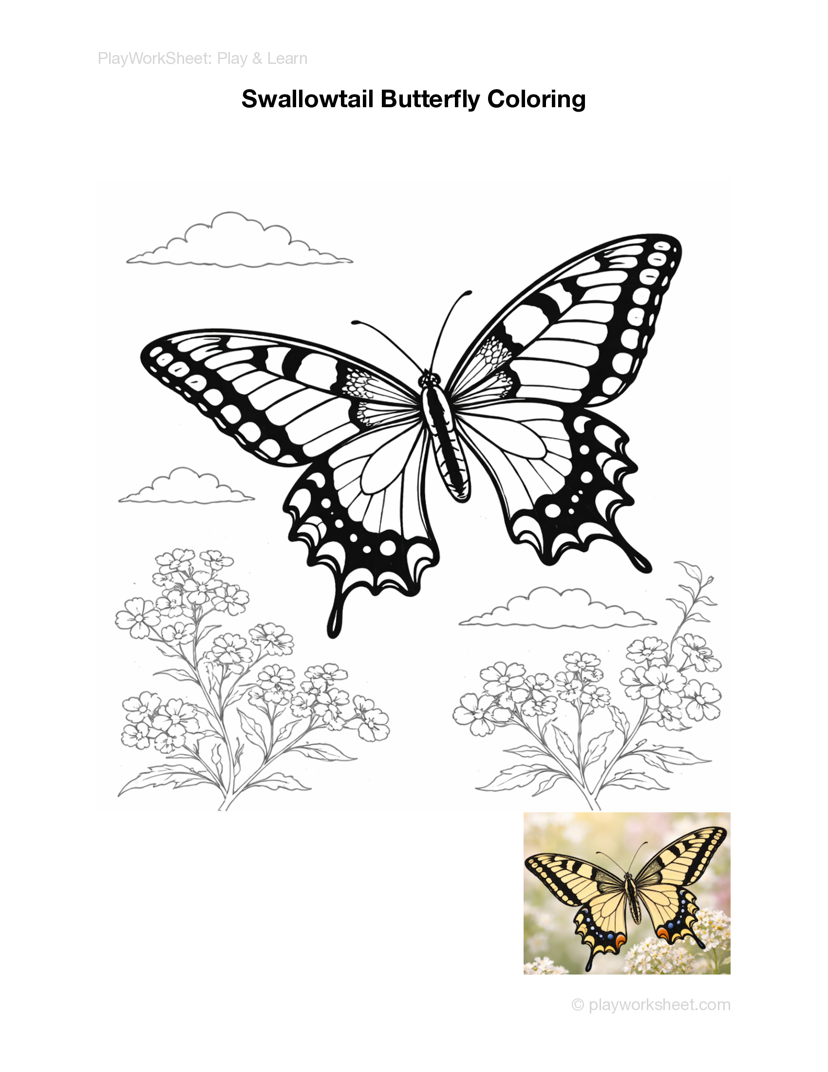 Butterfly Coloring Pages - Page 3