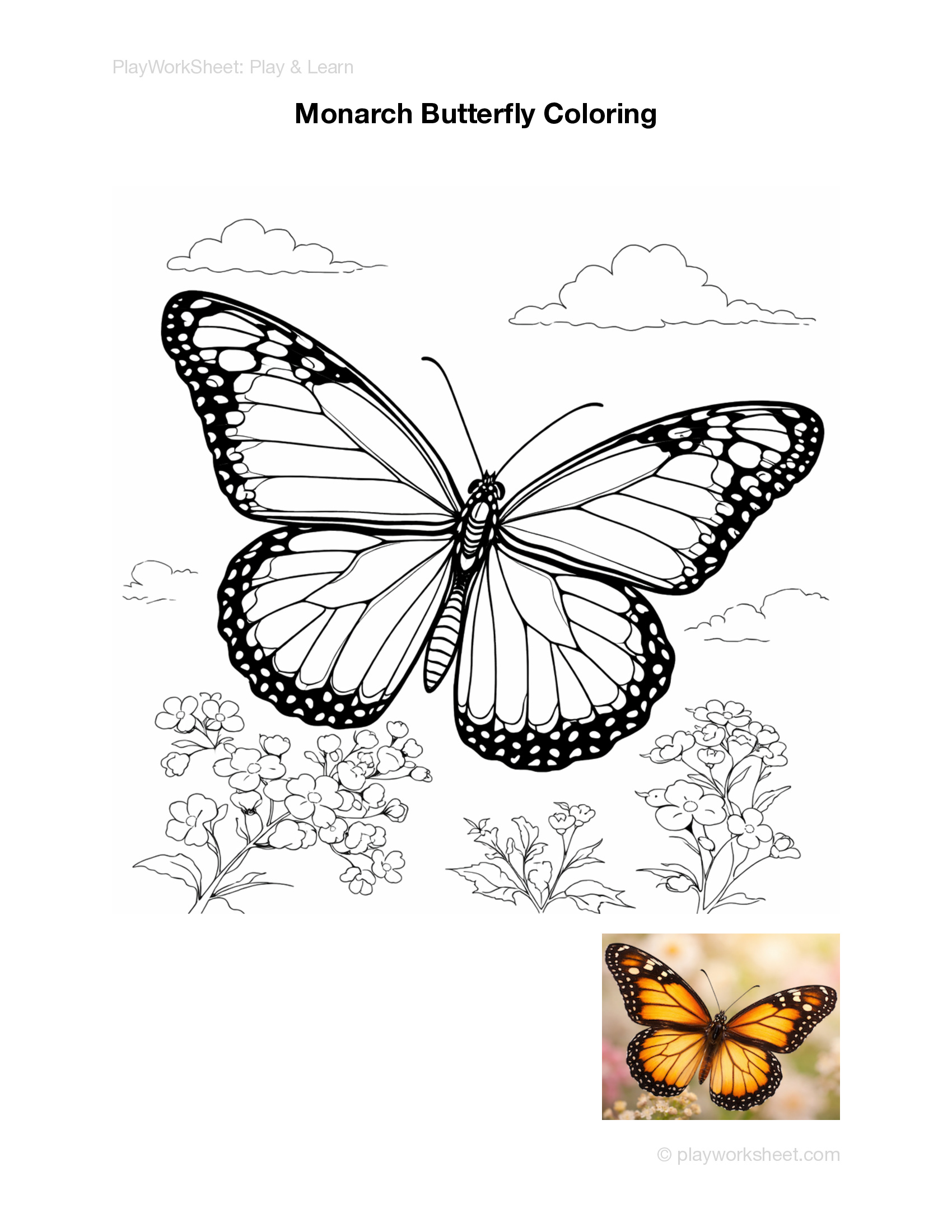 Butterfly Coloring Pages | Free Printables for Kids