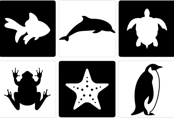 High Contrast Black And White Penguin For Your Children Or For 