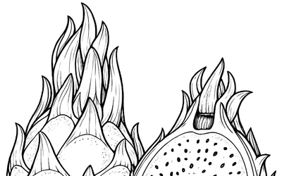 Dragon Fruit Coloring Pages