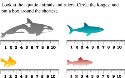 Measure Length and Height by Rulers