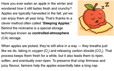 Sleeping Apples: How We Keep Apples Fresh